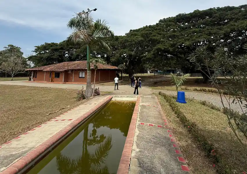 Coctel de atardecer junto a la piscina para bodas