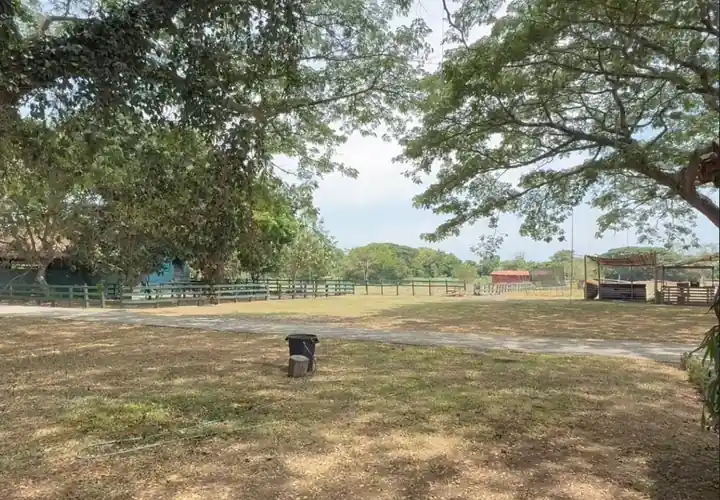 Parqueadero para 2000 carros
